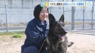 ベテラン警察犬と二人三脚　県警の新米ハンドラーに密着！　事件や行方不明者の捜査に奮闘！　広島
