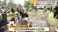 六本木ヒルズ屋上で「ひめの凜」田植え　都心で愛媛のブランド米ＰＲ　特設水田に「キャー」【愛媛】