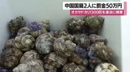 天然記念物オカヤドカリ1333匹を密漁　中国籍の男2人に罰金50万円　「組織的で悪質」と裁判官