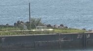 「波消しブロックの間に人が落ちた」と通報　久慈港で67歳男性死亡　岩手県久慈市