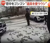 体かゆい？ウシがブラシで背中ゴシゴシ&hellip;オーストリア研究所も評価　アメリカではシカが銀行で&ldquo;大暴れ&rdquo;&hellip;ツノつかんで警察が確保