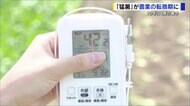朝なのに42℃…猛暑の農業ハウスはサウナ状態　ミストや空調の“自動化”で人と農作物も暑さ対策【広島発】