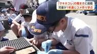 「おいしいコメができますように」　児童がサキホコレの種まきに挑戦　コメ作りを一から学ぶ　秋田・横手市