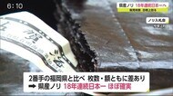 県産ノリ 18年連続日本一がほぼ確実に【佐賀県】