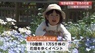 青空の下に”空色