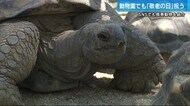 100歳のゾウガメに国内最高齢のアムールヒョウ 広島・安佐動物公園も「敬老の日」