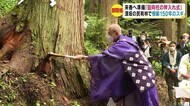 善光寺御開帳へ「回向柱」斧入れ式 樹齢150年の杉「天にのぼるよう・・・」