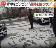 体かゆい？ウシがブラシで背中ゴシゴシ…オーストリア研究所も評価　アメリカではシカが銀行で“大暴れ”…ツノつかんで警察が確保