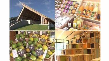 三重の魚介や野菜が並ぶマルシェに“森の散歩ツアー” 商業リゾート施設「VISON」が取り組む未来へのまちづくり