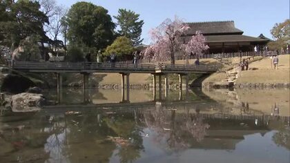 岡山藩主が見た約３００年前の姿ふたたび…岡山後楽園「二色が岡」の景観　８年かけ復元終わる【岡山】