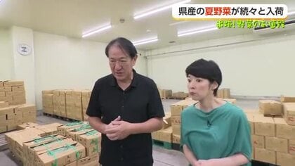 キャベツ1個100円台「今が買いどき」、富山産ナスで作る豚バラ麻婆風【追跡！野菜のお値段】