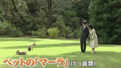 秋篠宮さまは「マーラ」常陸宮さまは愛犬「福姫」愛子さまはラオス訪問準備…皇室担当記者が注目するお誕生日近影映像