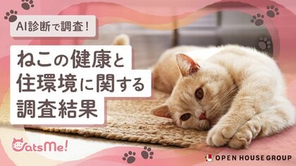 ねこと飼い主のしあわせな住環境に関する取り組み 第1弾「ねこの健康と住環境に関する調査」結果発表
