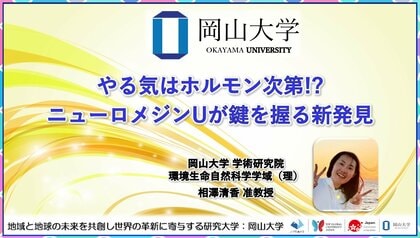 【岡山大学】やる気はホルモン次第!? ニューロメジンUが鍵を握る新発見