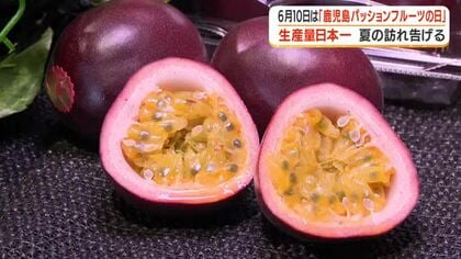 ６月１０日は「パッションフルーツの日」　生産量日本一の鹿児島で試食販売