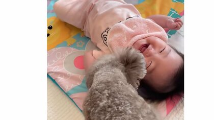 「見てる側までハッピー」自分の顔近くで“ホリホリする犬”に爆笑の赤ちゃんが可愛い…関係性を母親に聞いた