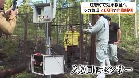 食害の被害深刻…AIとICTを活用してシカを「自動捕獲」駆除の負担軽減へ江府町で効果検証（鳥取）