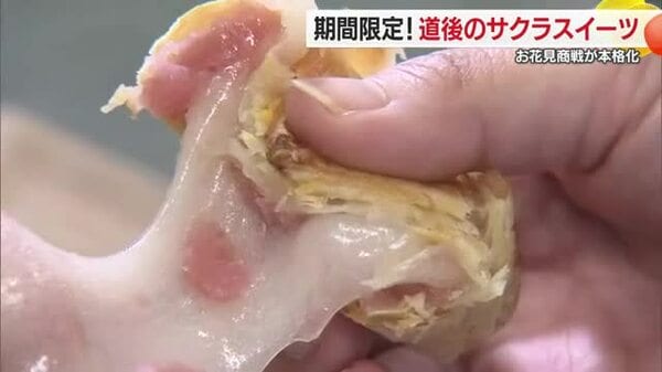 桜スイーツを楽しむ花見食べ歩き