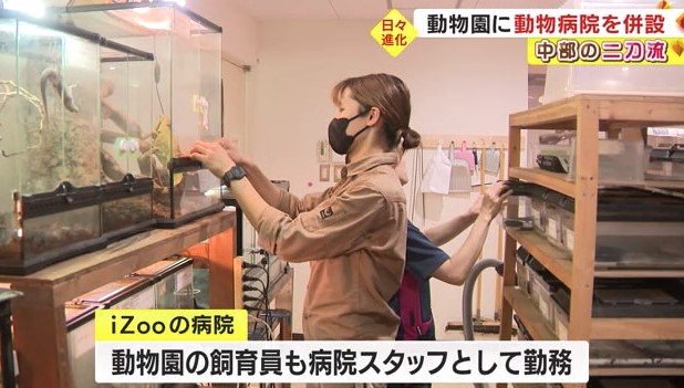 動物園の飼育員が飼い方をアドバイス