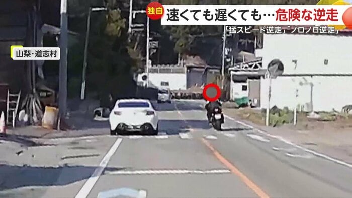 凄まじいスピードで逆走していくバイクと避ける車(視聴者提供)