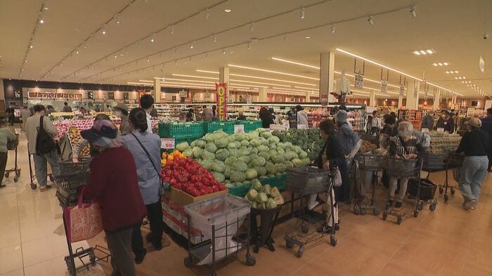 アルビス大広田店（資料）