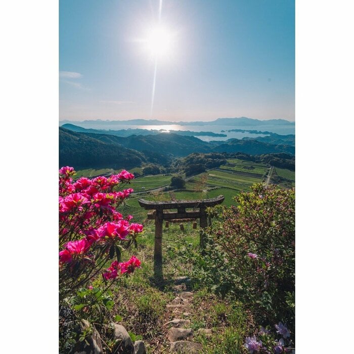 宮地嶽神社(長崎県/2025年4月撮影)