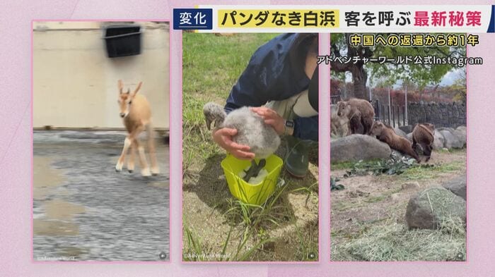 多くの“赤ちゃん”の画像を投稿