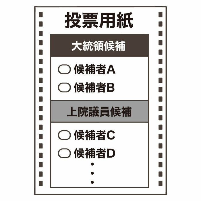 (投票用紙イメージ)