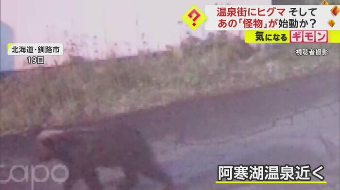 釧路市の阿寒湖温泉近くで目撃されたクマ
