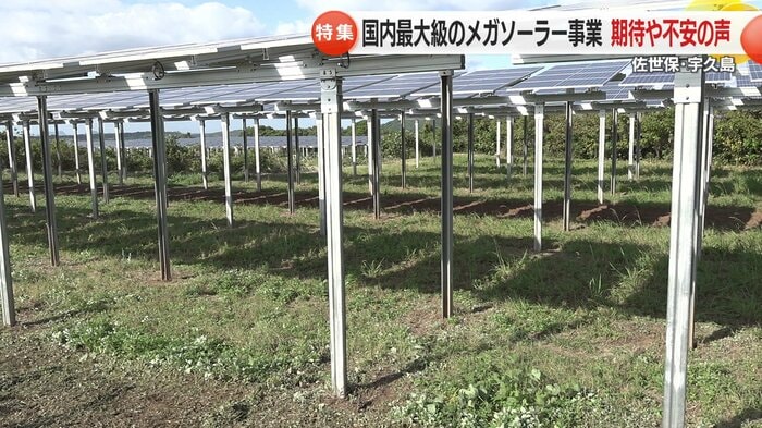 地面を覆うことで洪水量の増加を懸念