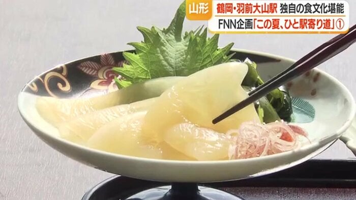 越前クラゲの傘径は1メートル以上にまで成長し漁業被害をもたらすこともあり、漁師からは嫌われている