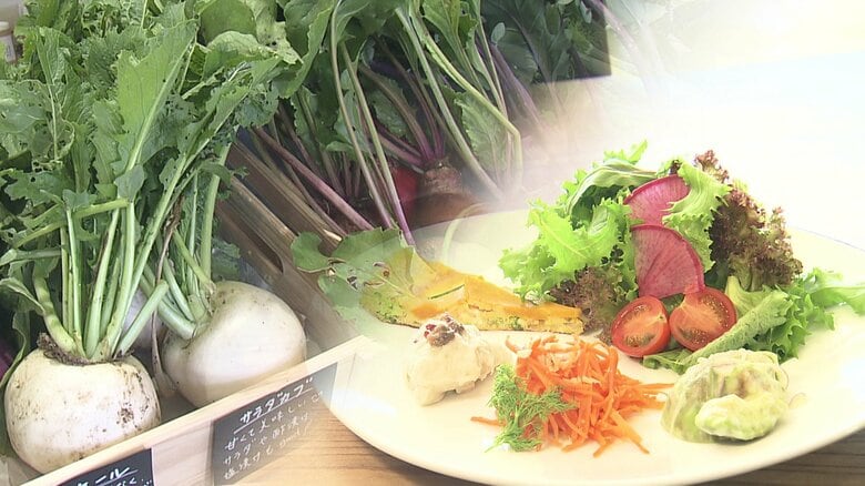 “農薬不使用”の野菜と“麹”を使った料理が自慢！心も体も整うカフェ ママたちが手がけた新店はつながりを作る「居場所」にも｜FNNプライムオンライン