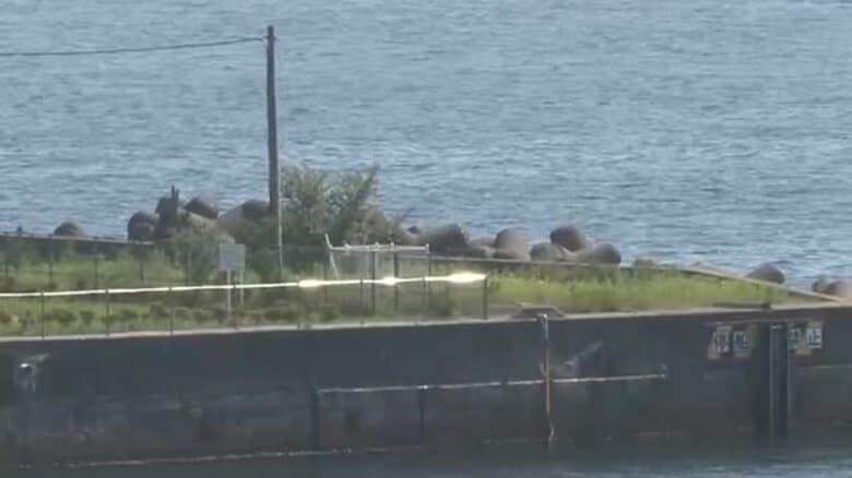 「波消しブロックの間に人が落ちた」と通報　久慈港で67歳男性死亡　岩手県久慈市｜FNNプライムオンライン