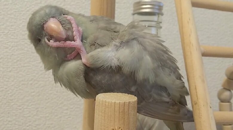 アゴもモミモミ