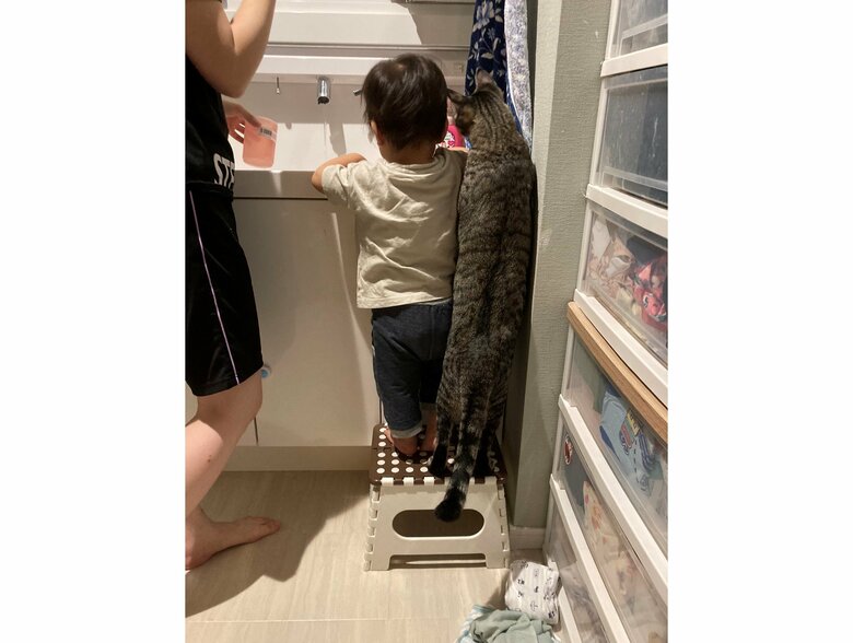 提供：かぎしっぽすず&つむぎさん