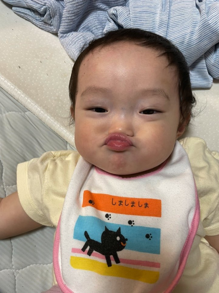 提供：ののさん