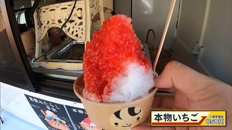 本物いちご 850円※通常価格