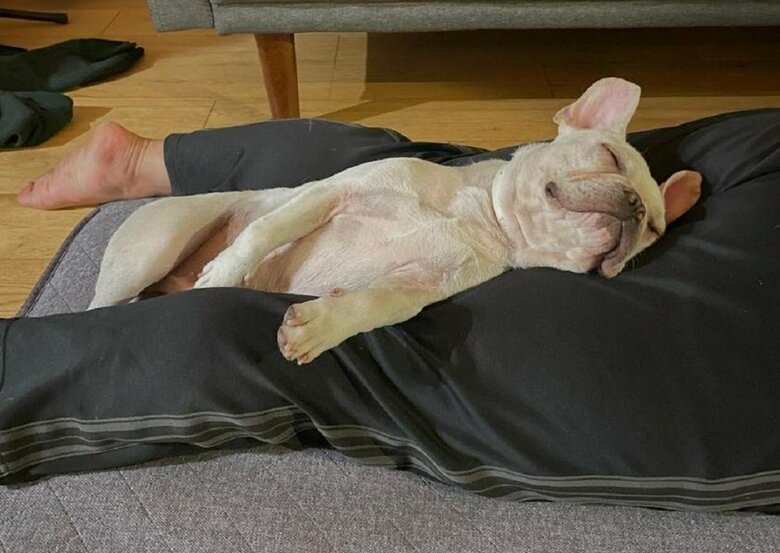 息子さんのお尻を枕に…