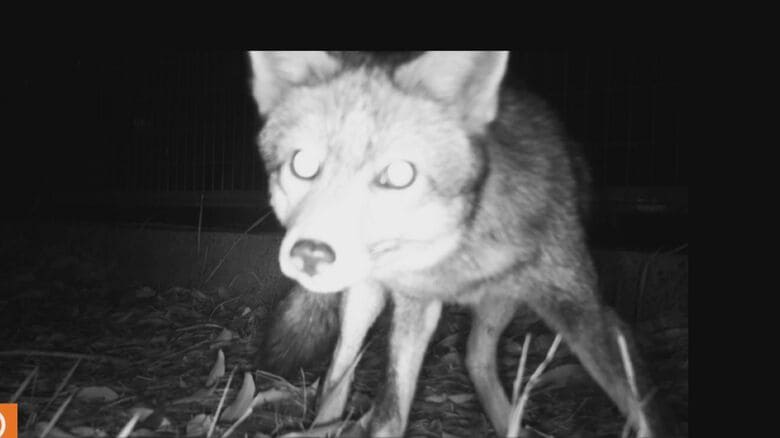 立命館大学の茨木キャンパスで撮影された映像