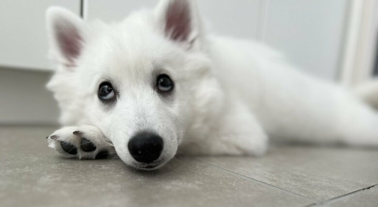 ワクチン接種後　笑顔が消えてしまった