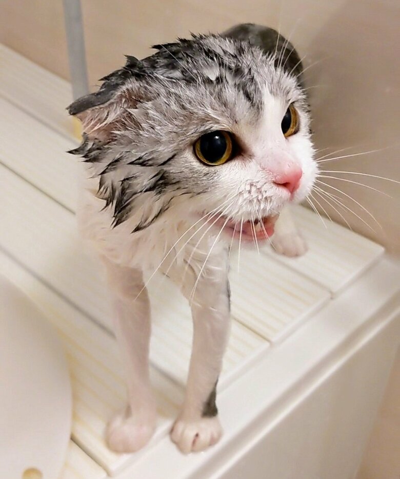 お風呂に入っている倫太郎くん