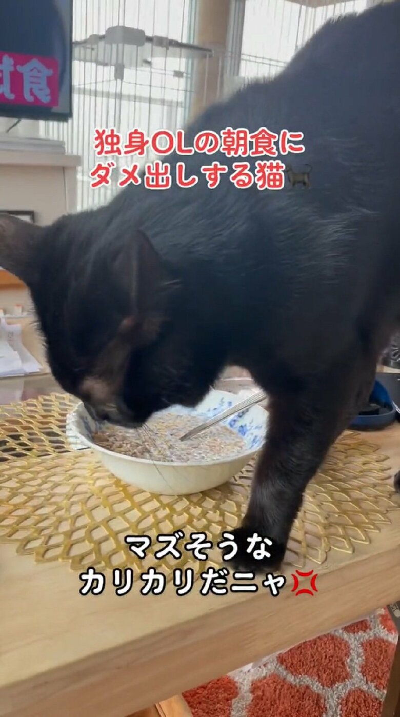 シリアルがお気に召さなかったようで…