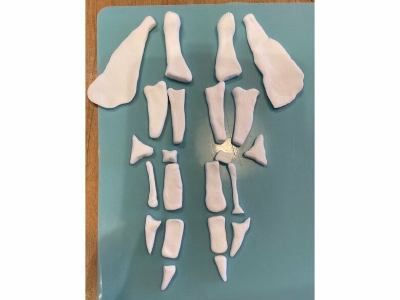 組み立てる前のパーツ