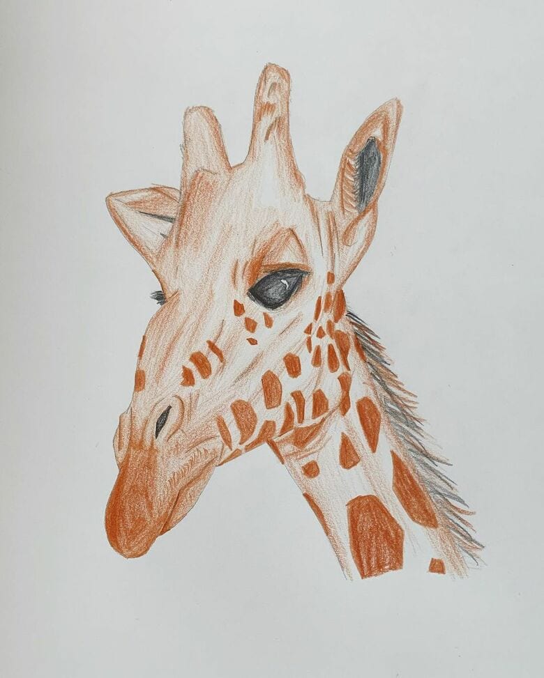 小学2年生の時に描いた「キリン」