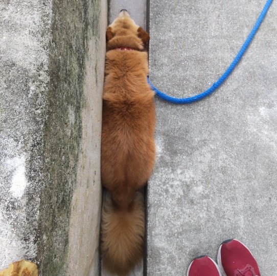 見事なすっぽり具合！