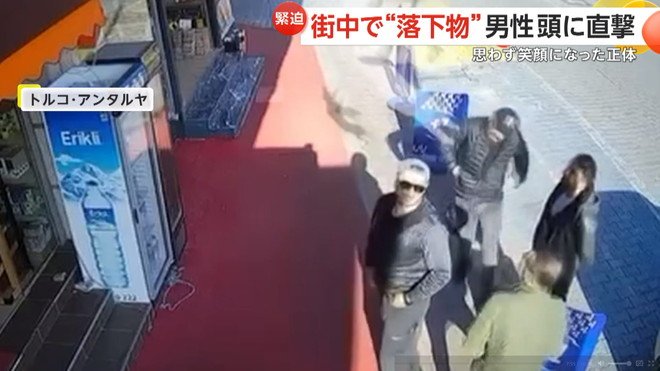 男性の頭にネコが落ちてきた瞬間