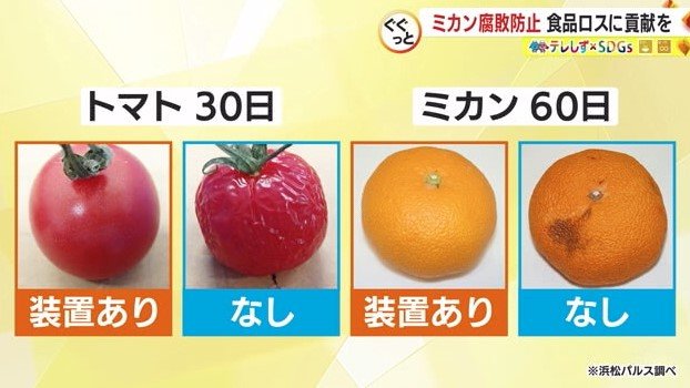 浜松パルスは野菜・果物・パン等で効果を確認