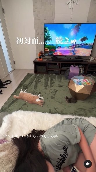 提供：たーにゃ。さん