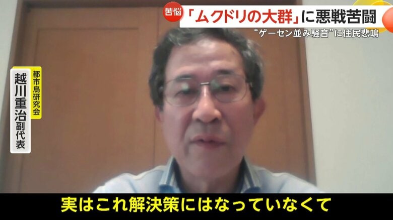 これらは解決策になっていないと専門家