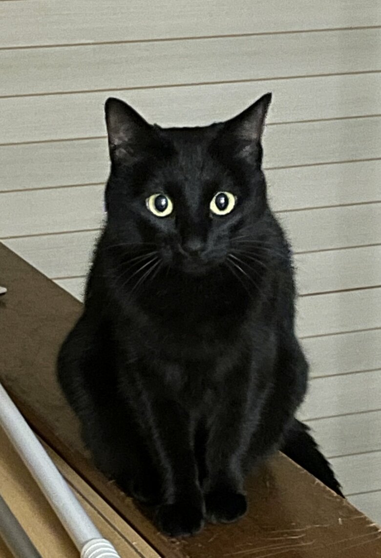 提供：マクーさん